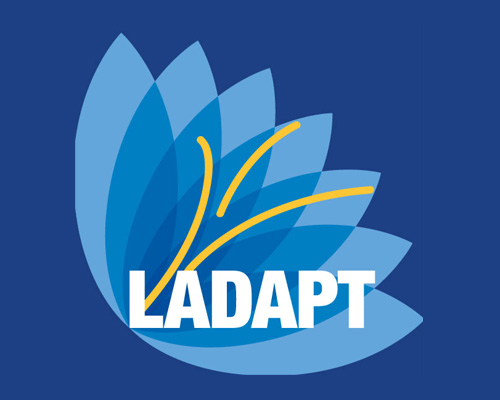11-adapt-500x400-1
